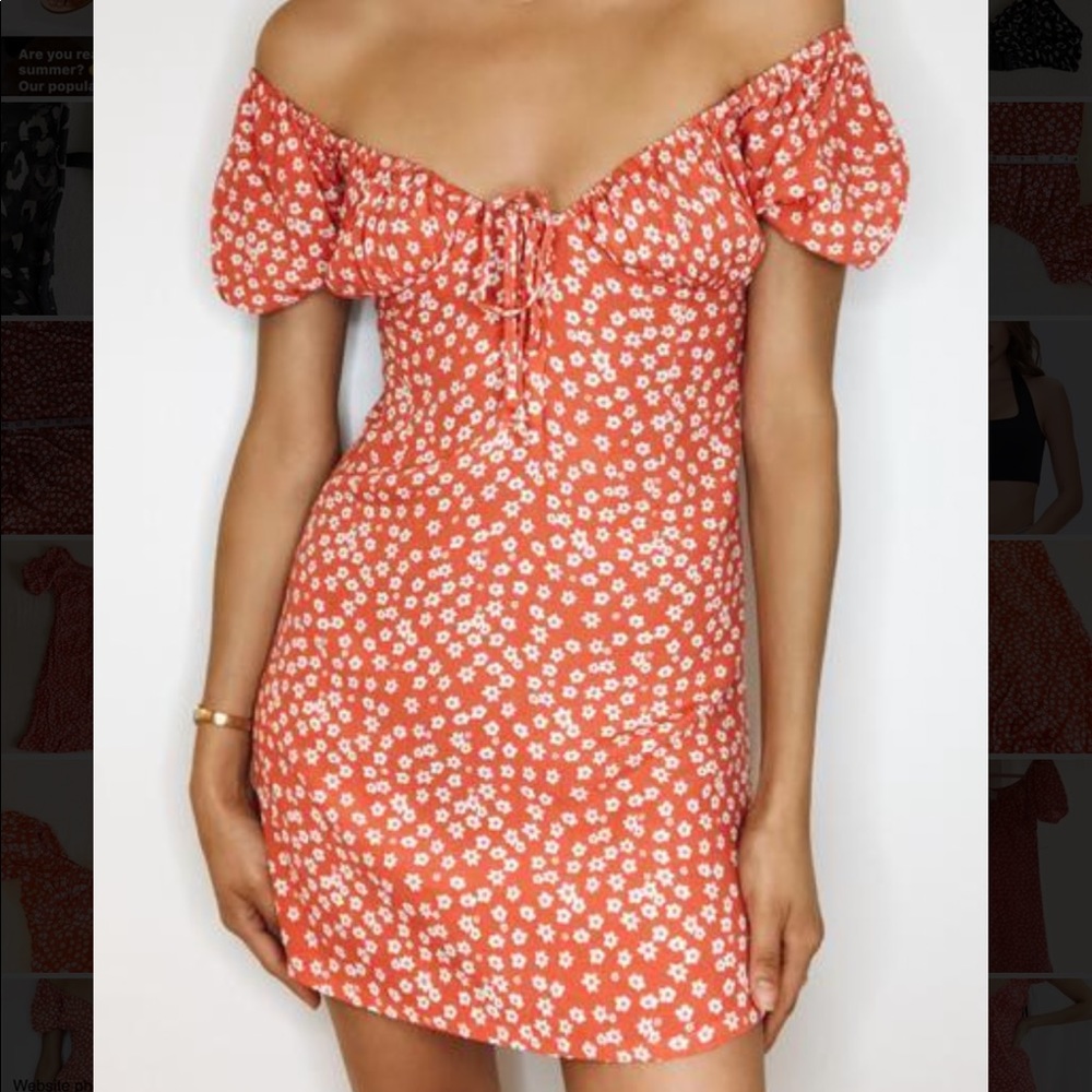 Frankie Phoenix red floral Karla Villa Dress NWT L